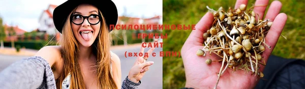 ПСИЛОЦИБИНОВЫЕ ГРИБЫ Алзамай