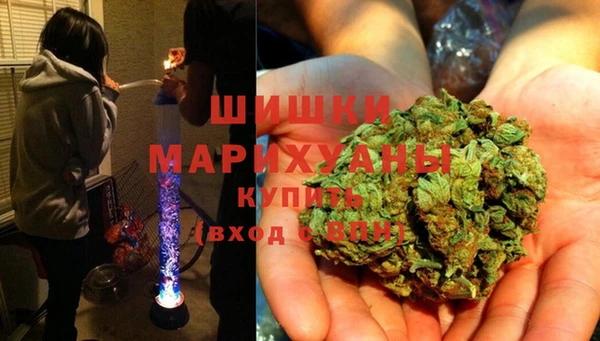 ПСИЛОЦИБИНОВЫЕ ГРИБЫ Алзамай