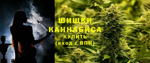 ПСИЛОЦИБИНОВЫЕ ГРИБЫ Алзамай