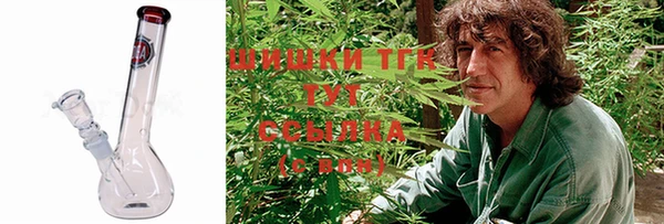 ПСИЛОЦИБИНОВЫЕ ГРИБЫ Алзамай